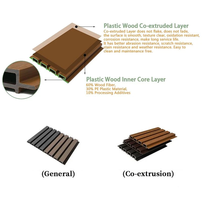 product-800-800